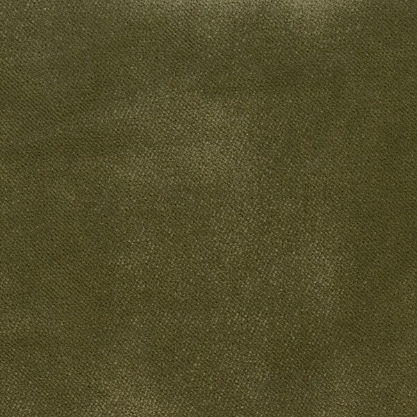 Fabric Swatch (Olive)